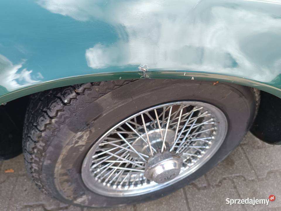 Jaguar etype serie 3 British Racing Green Słubice