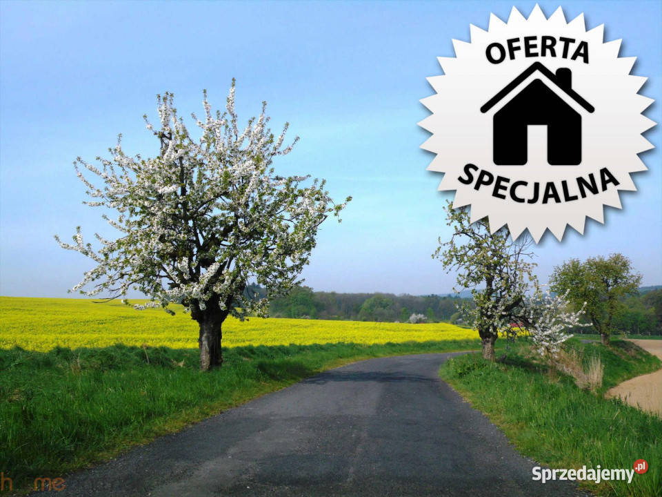 Działkę sprzedam 1793m2 Wrocław szambo Sprzedaż