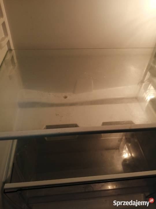 BEKO TS 190320 710 chłodziarka lodówka