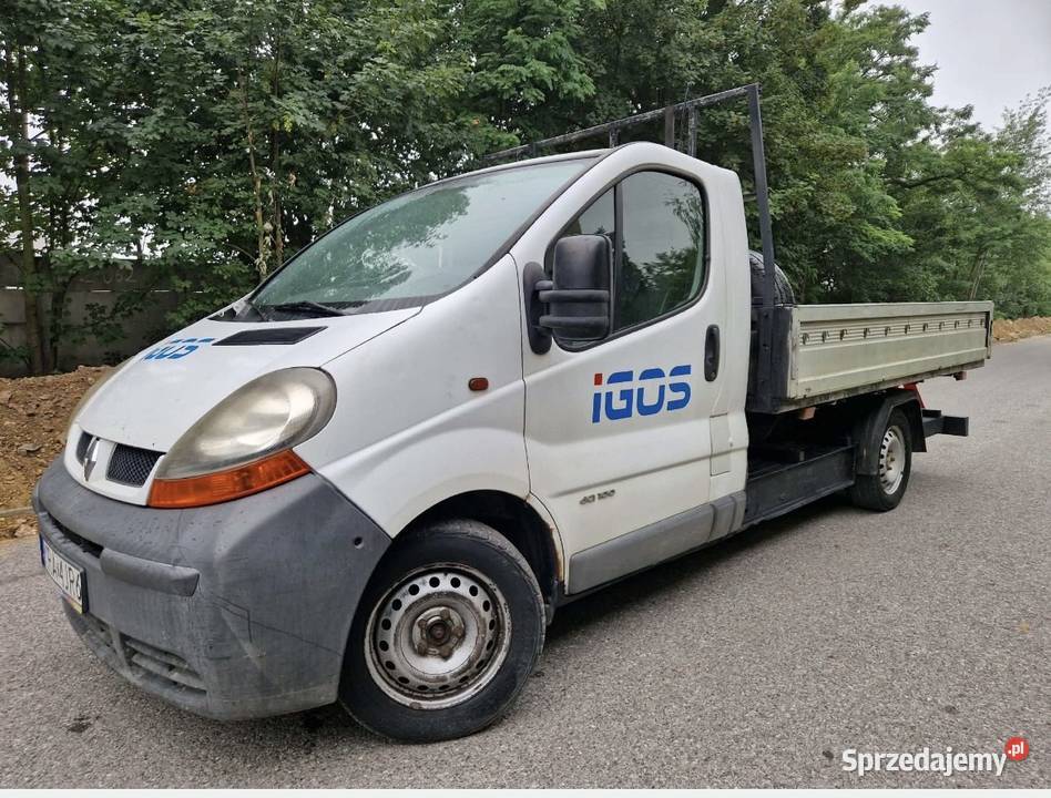 Renault Trafic 19DCI 101 2004 skrzyniowy