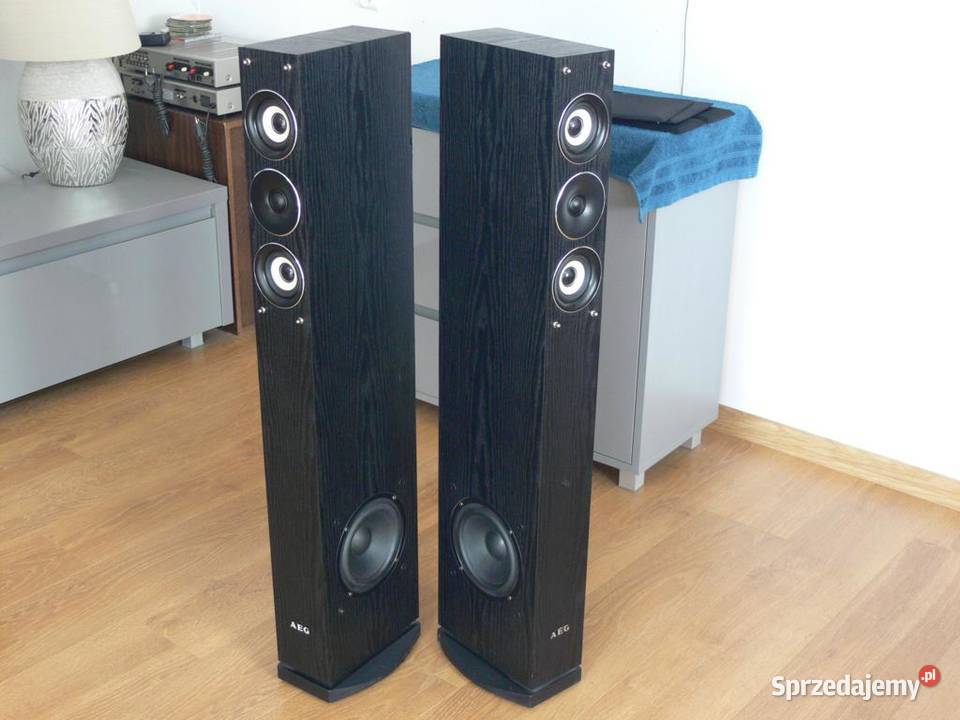 Niemieckie kolumny AEG 2 x 480 wat DOSTAWA Jasło
