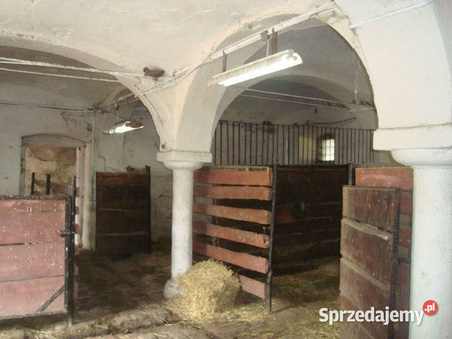 sprzedaży lokalu 500m2 Wałbrzych Sprzedaż sprzedam