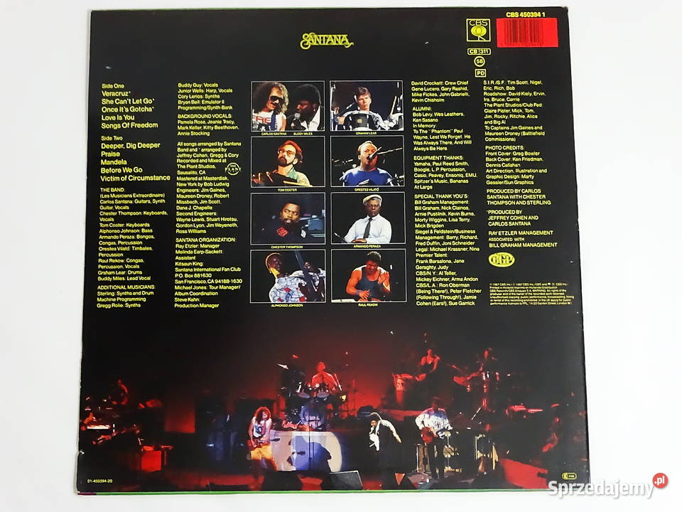Santana Freedom CBS 450394 1 1987 r Biłgoraj