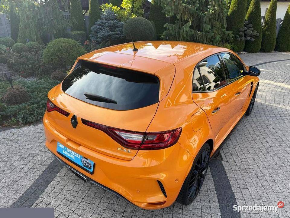 Renault Megane 18 TCe FAP RS EDC 280 2019r nieuszkodzony Krotoszyn