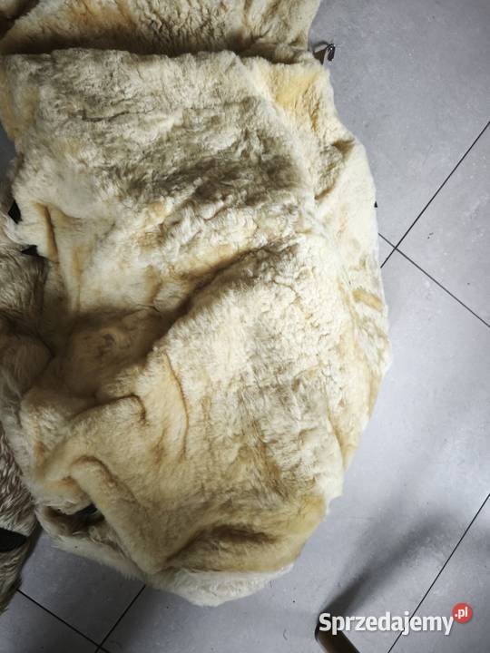 Nowe pokrowce na siedzenia