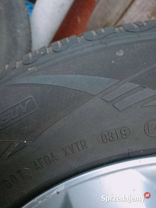 Alufelgi raf4 Orzełek