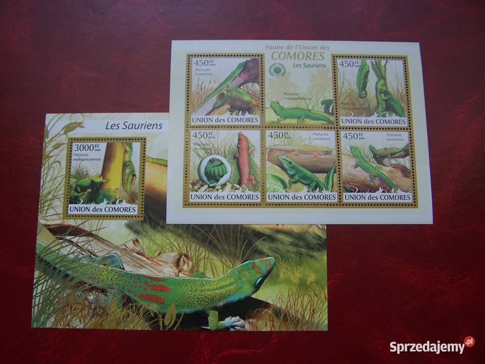 Komory 2009 MNH Zwierzęta Jaszczurki śląskie Tychy