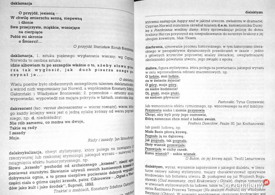 Szkolny słownik terminów literackich Tomasz twarda Chełm
