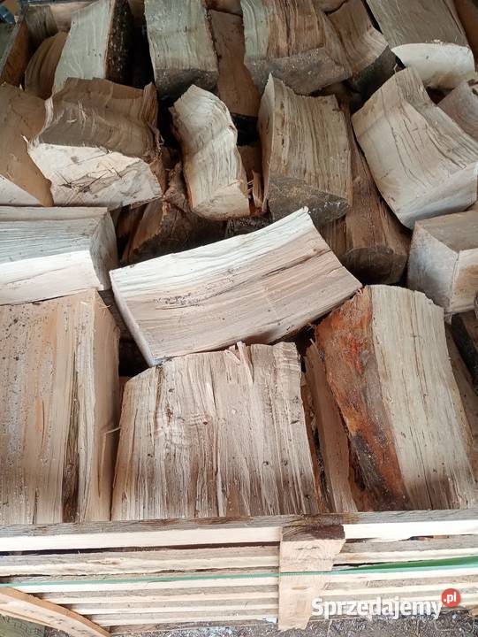 Drewno kominkowe Banino