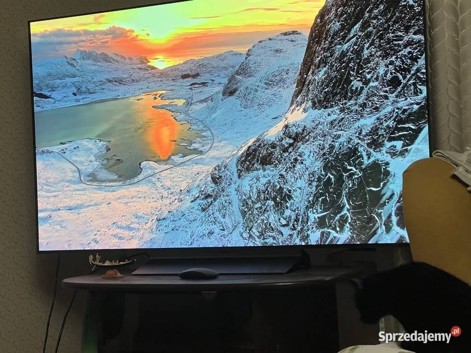 Telewizor LG 55 OLED evo 4K 120Hz HDR ze 55cale Telewizory małopolskie Kraków