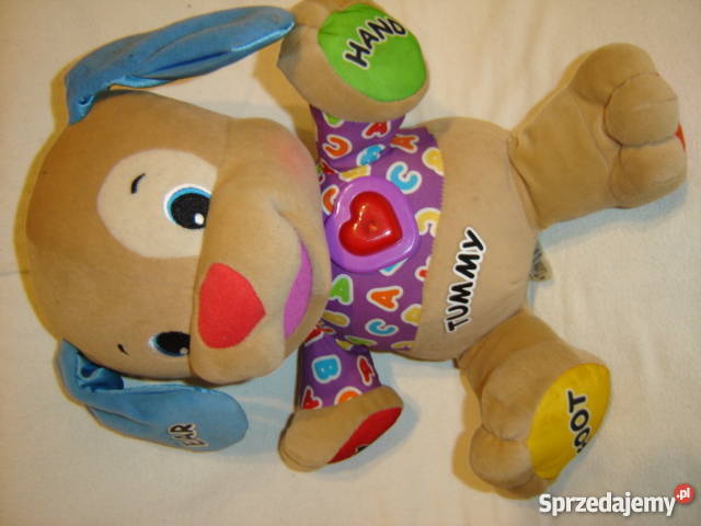 Szczeniaczek uczniaczek Fisher Tummy angielski Nowy Sącz