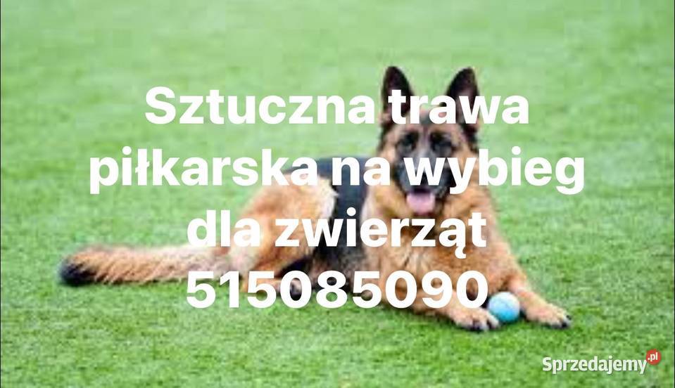 Sztuczna trawa piłkarskaProdukt premium Warszawa sprzedam