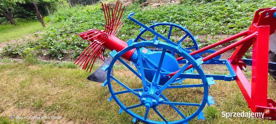 Kopaczka gwiazdowa łódzkie