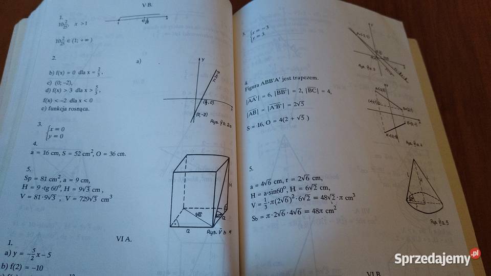 Zadania z matematyki prymusów Irena Murawska Podręczniki Książki i Podręczniki