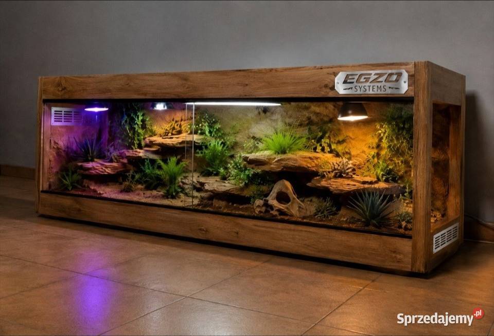 Terrarium hodowlane gekona lamparciego żółwia sprzedam