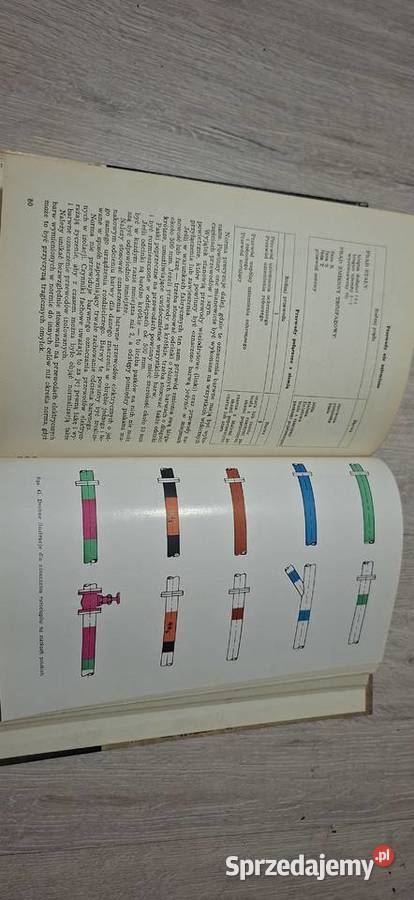 Barwy w służbie bezpieczeństwa i higieny pracy wielkopolskie Łęczyca