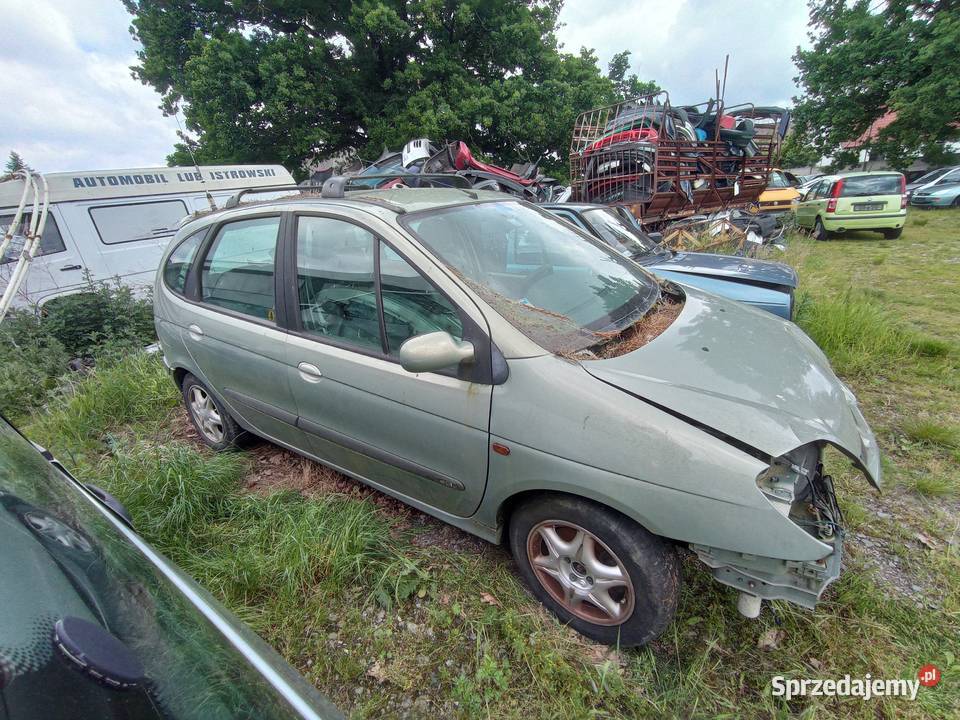 Renault Megane Scenic 19 47 kW 2002 r dawca Szklarka Myślniewska