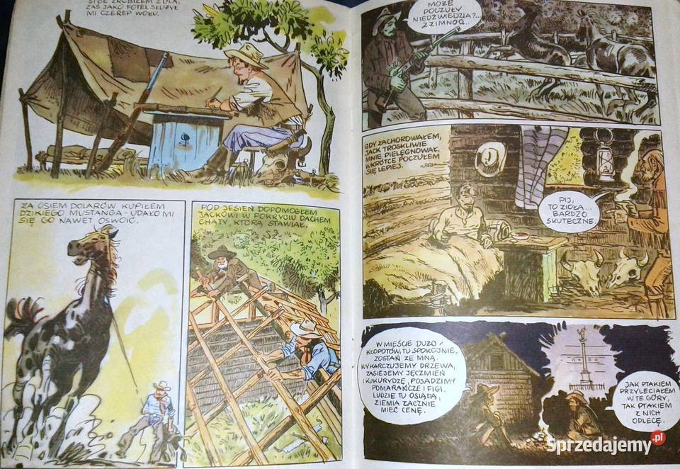 W poszukiwaniu prawdziwej Ameryki O Henryku Chełm