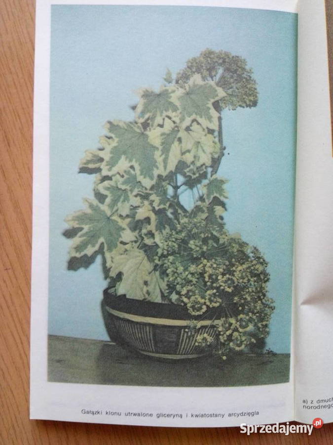 Kompozycje roślinne 1988r Agnieszka Sokołowska Poradniki, albumy i reportaże Dąbrowa Górnicza