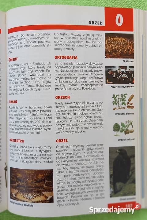 Ilustrowany Leksykon dzieci poradnik 1500 haseł Książki dla dzieci Małkinia Górna