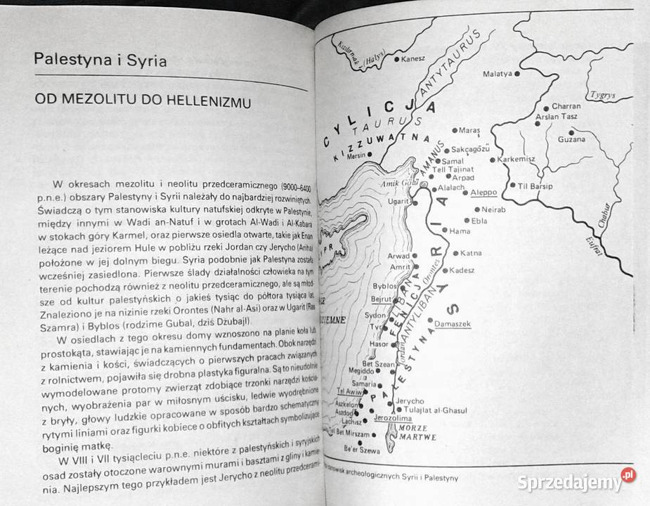 Sztuka Starożytnego Wschodu II Antoni Chełm