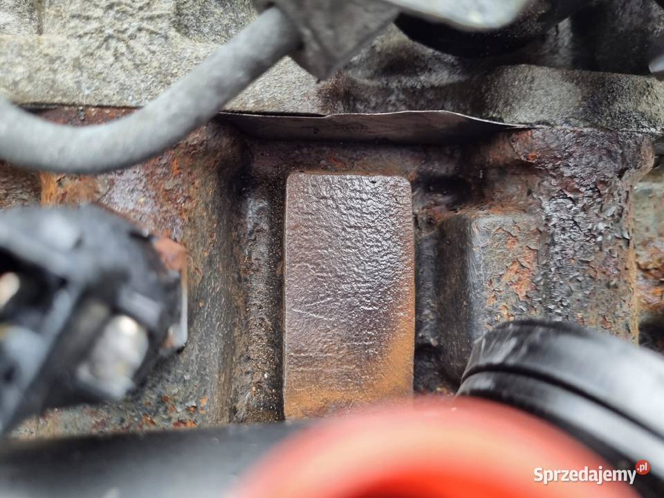 SILNIK KOMPLETNY Renault Kangoo I 15 DCI 57 lubelskie Rudka