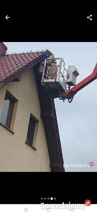 Likwidacja gniazd Szerszeniosy Zwalczanie Móch Milicz