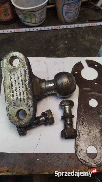 hakgłówka Łęczna