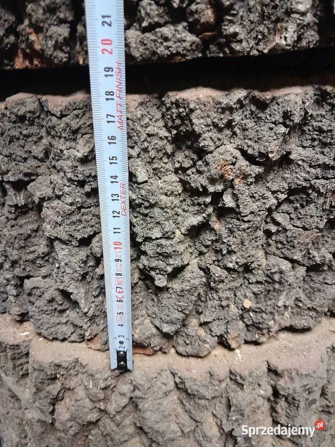 Plastry dębowe 60 różne grubości lite drewno śląskie Dąbrowa Górnicza