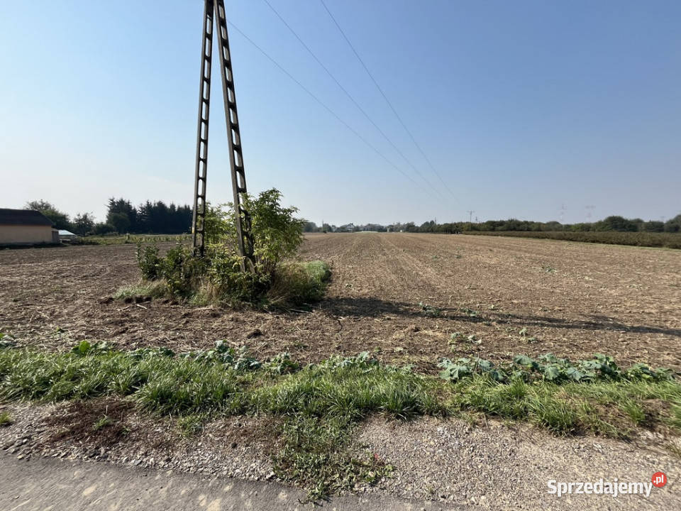 Działka rolnobudowlana 062 ha w Gołębiu kPuław Gołąb