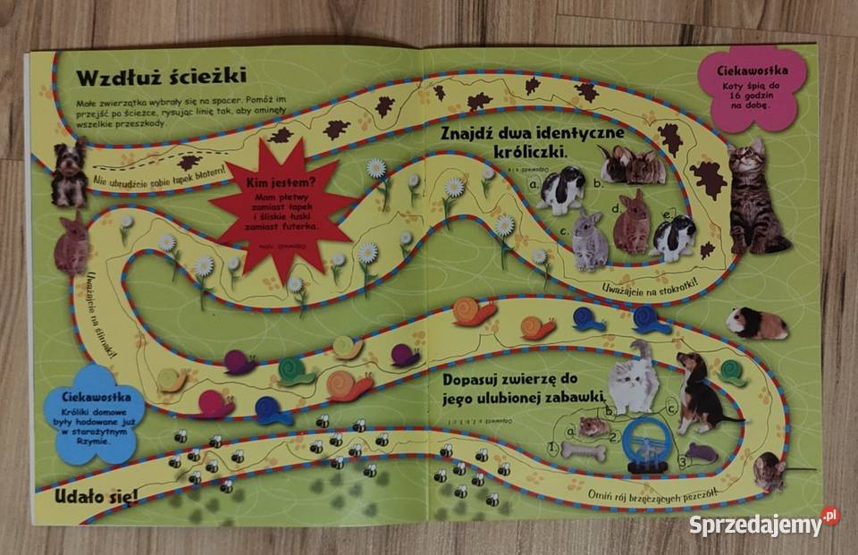 Dzieci zwierząt Zestaw książek z naklejkami i Warszawa