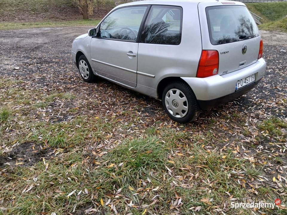 Sprzedam lupo wielkopolskie Kostrzyn