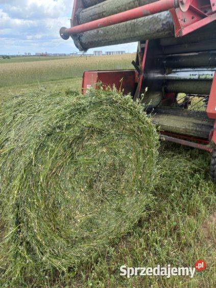 Prasa welger rp 12 siatka nieuszkodzony Prasy i owijarki mazowieckie Stara Kornica