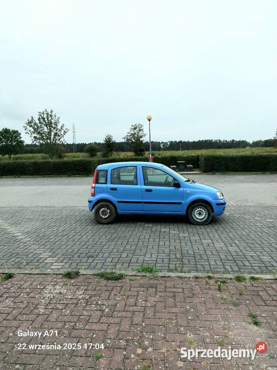 Fiat Panda 2004 11 benzyna Chodzież