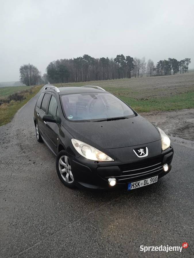 Peugeot 307sw Climatronik Ben 20 gniazdo AUX Piotrków Trybunalski