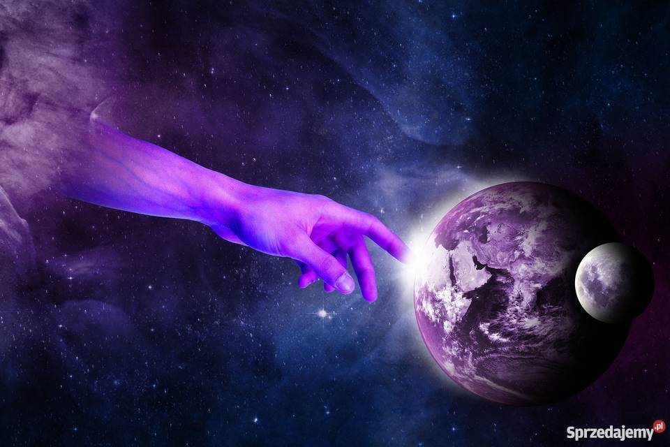 Diagnoza pasożytów w organizmie Poznań