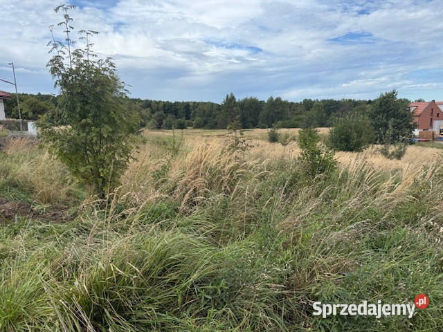 Piękna działka prawdopodobnie jedyna na Morgach śląskie Mysłowice
