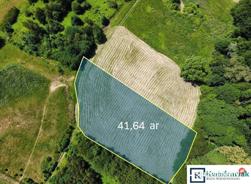 sprzedaży gruntu 4164m2 Tyczyn inwestycyjna