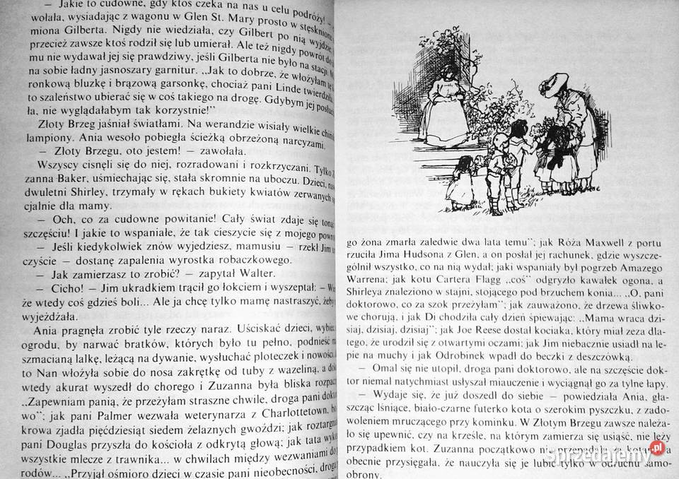 Ania ze Złotego Brzegu Lucy Maud Montgomery miękka Chełm