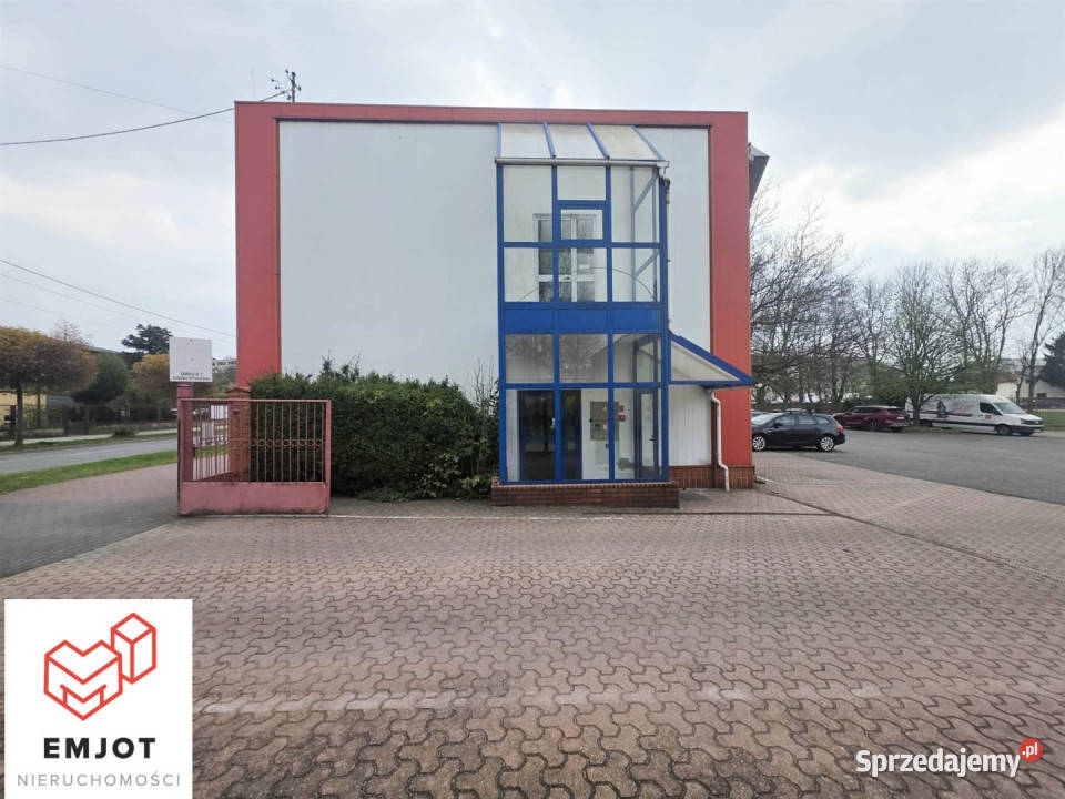 Lokal na wynajem Zduńska Wola 300m2 handlowo-usługowy
