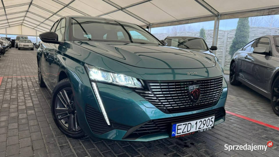 Peugeot 308 P5 2021 Zduńska Wola