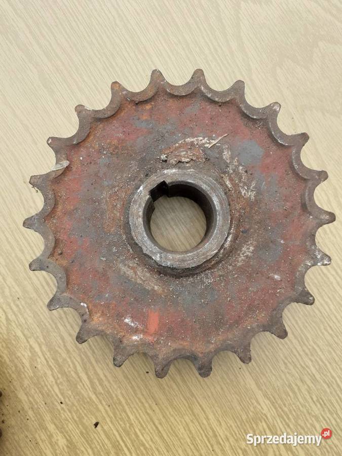 Koło łańcuchowe podwójne 22z prt10 100229001