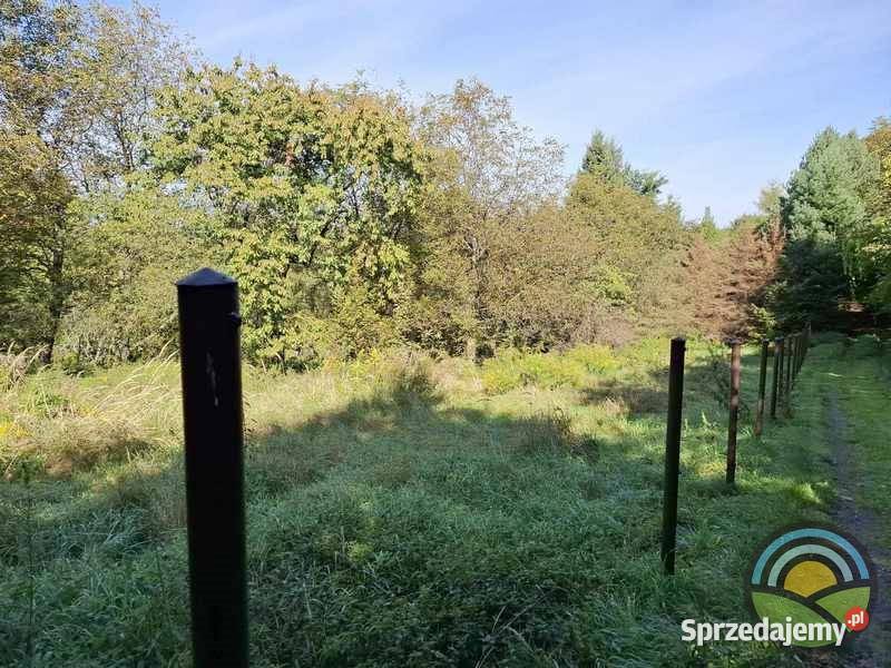 Nielepice gm Zabierzów działka budowlana 1300m2 sprzedam