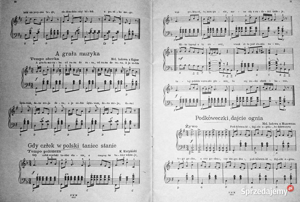 Skarbczyk akordeonisty Józef Powroźniak Chełm