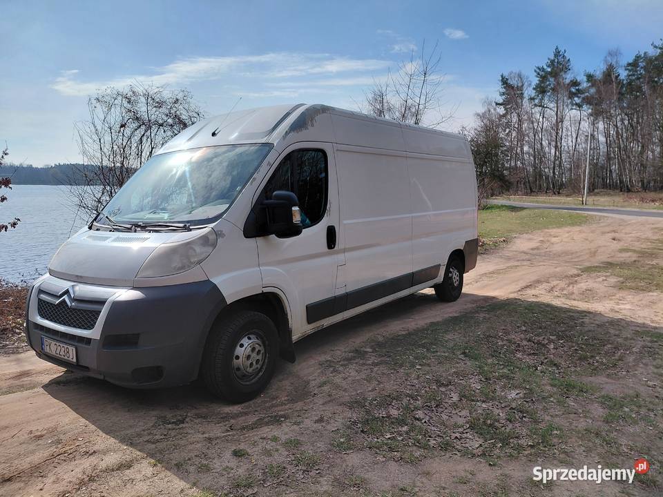 Sprzedam jumper Kalisz