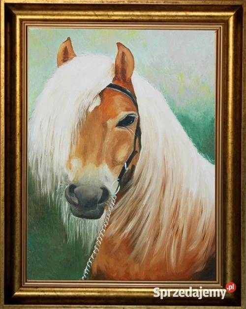 Obraz olejny Białogrzywy koń lubelskie Lublin