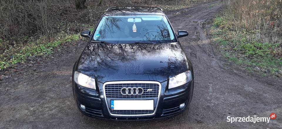 Audi A3 8P TDI 20 140 2008 ALU SLINE Full Długie Nałęczów