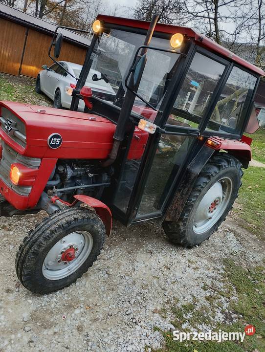 Massey Ferguson 135 Lechów