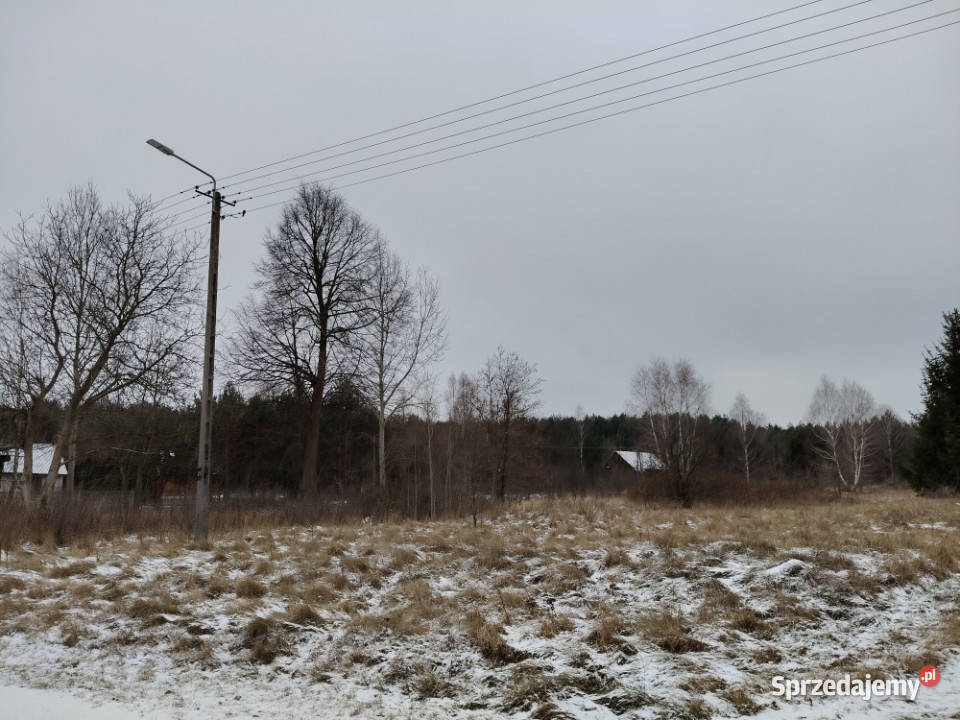 Słynny zalew Sielpia Wielka zwana świętokrzyską Cisownik