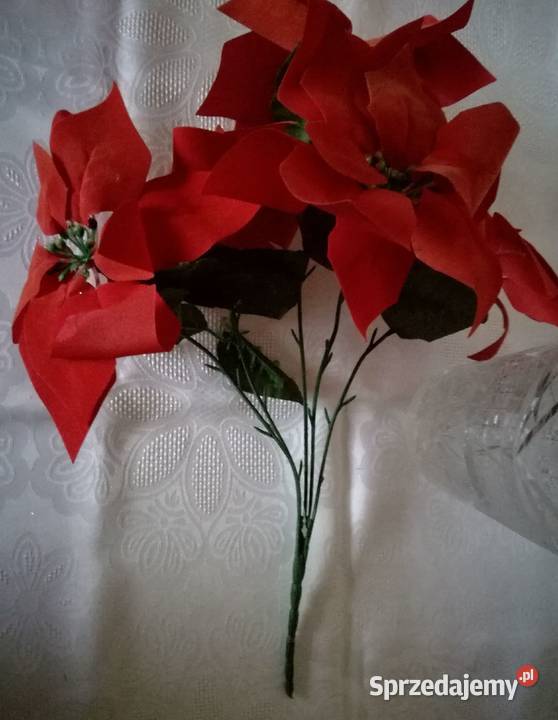 Bukiet kwiatów sztucznych gwiazdy betlejemskie łódzkie Łódź